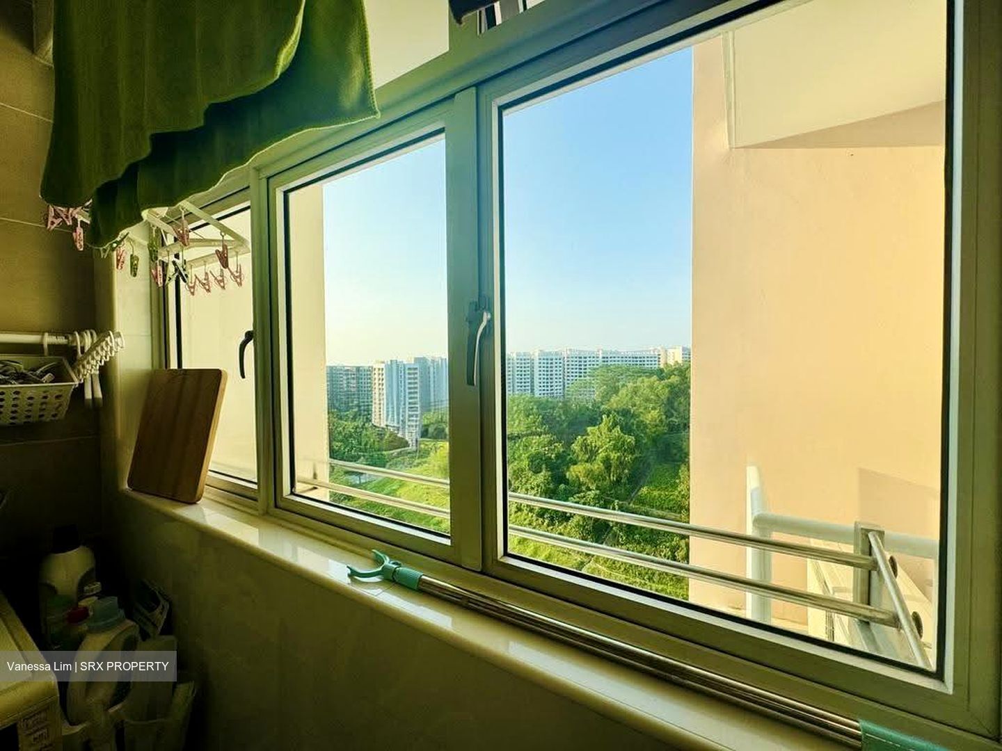 Blk 451A West Terra @ Bukit Batok (Bukit Batok), HDB 2 Rooms #634646251